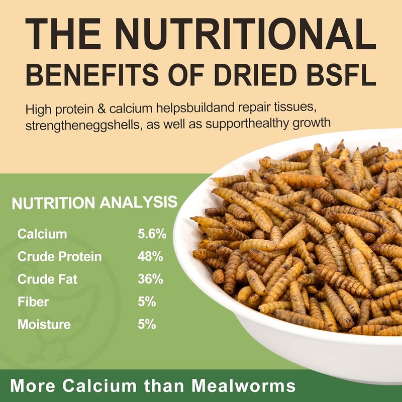 hatortpet 5LB Dried Black Soldier Fly Larvae for Chickens Treats Bulk, Non GMO BSF Larvae 85X More Calcium Than Dried Mealworms for Laying Hens, Chicken Worms for Wild Birds - Image 2